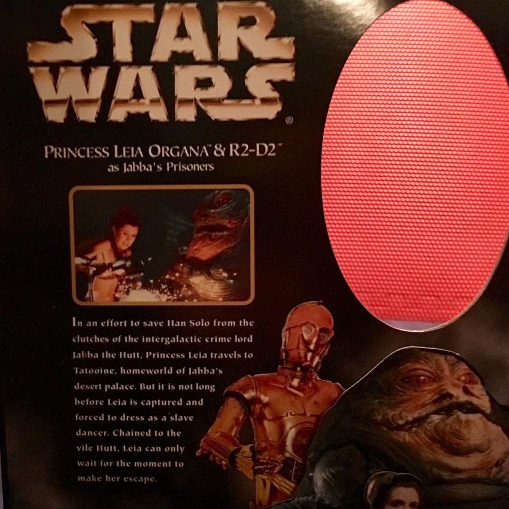Princess Leia Organa & R2-D2 - Picture 8 of 8